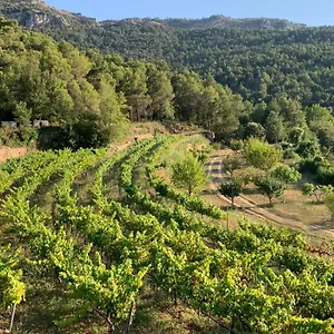 El Celler De Cal Garriga Сasa de vacaciones